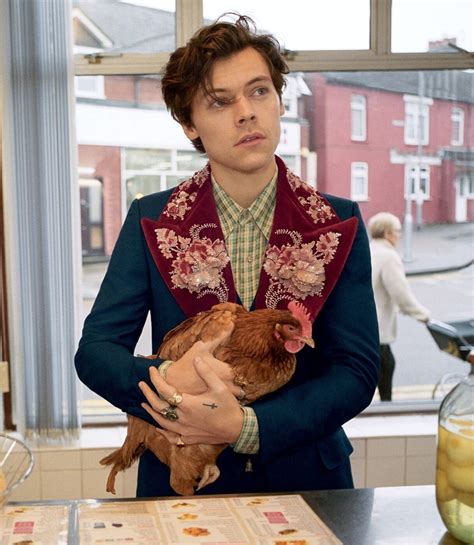 Video: Harry Styles in the new Gucci Men’s Tailoring Campaign